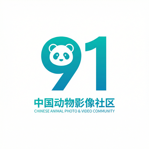 91